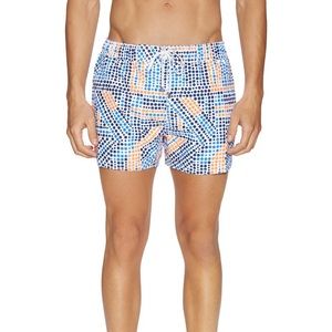 2xist Ibiza Matrix Swim Trunks